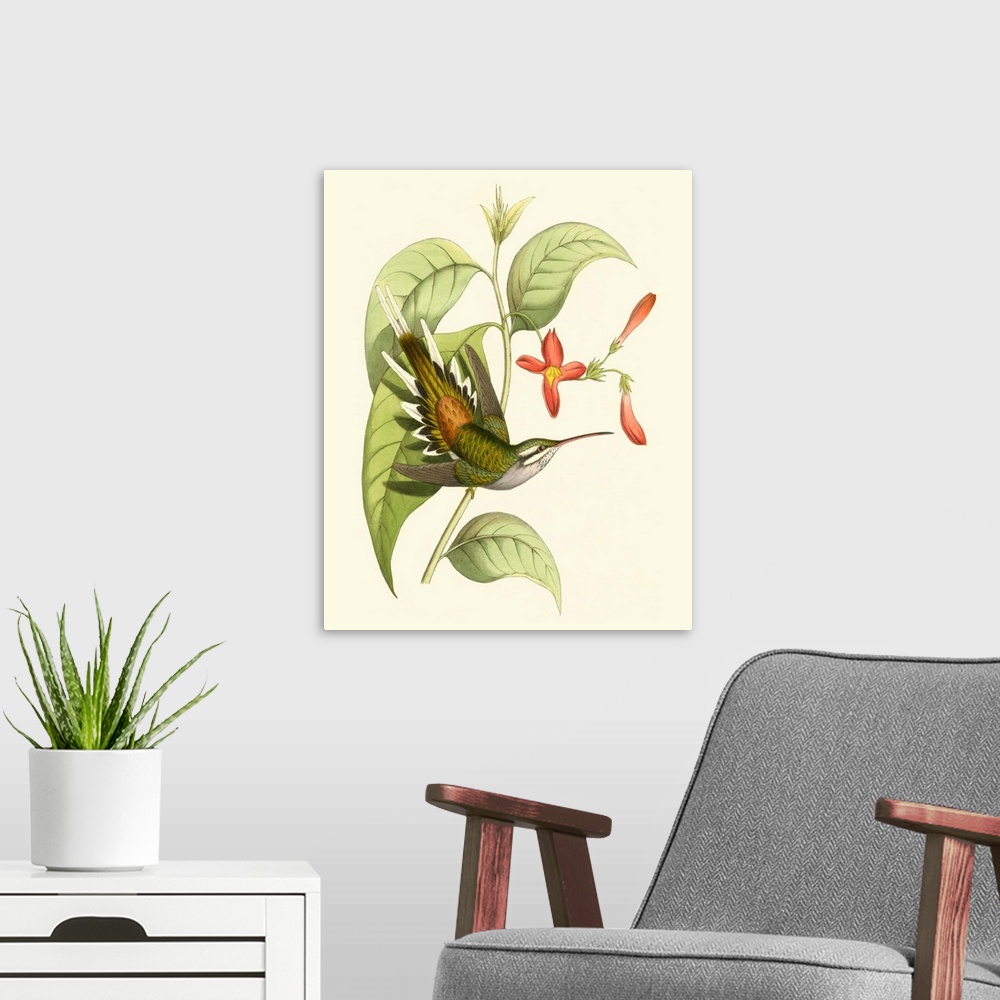 A modern room featuring Delicate Hummingbird I