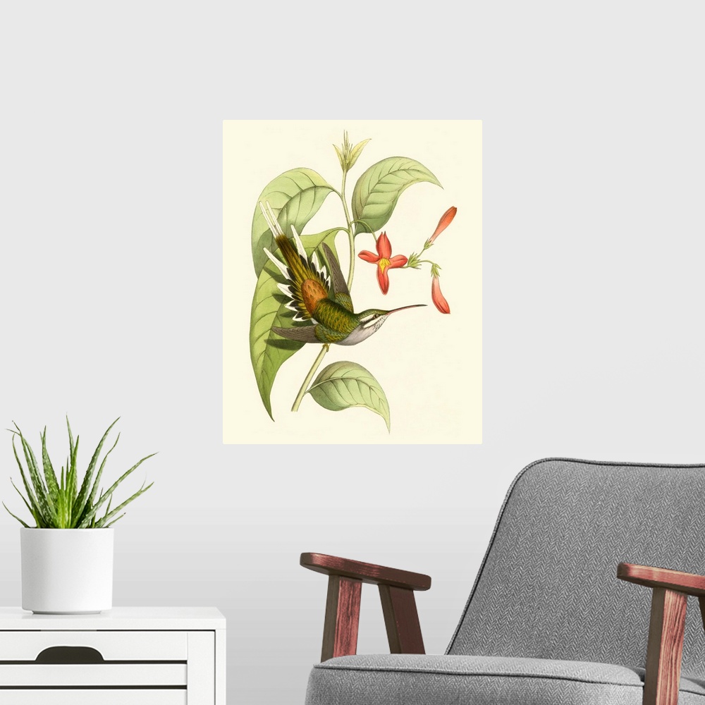 A modern room featuring Delicate Hummingbird I