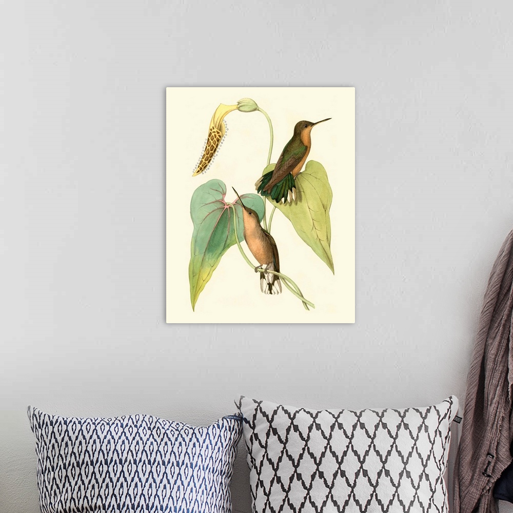 A bohemian room featuring Delicate Hummingbird II