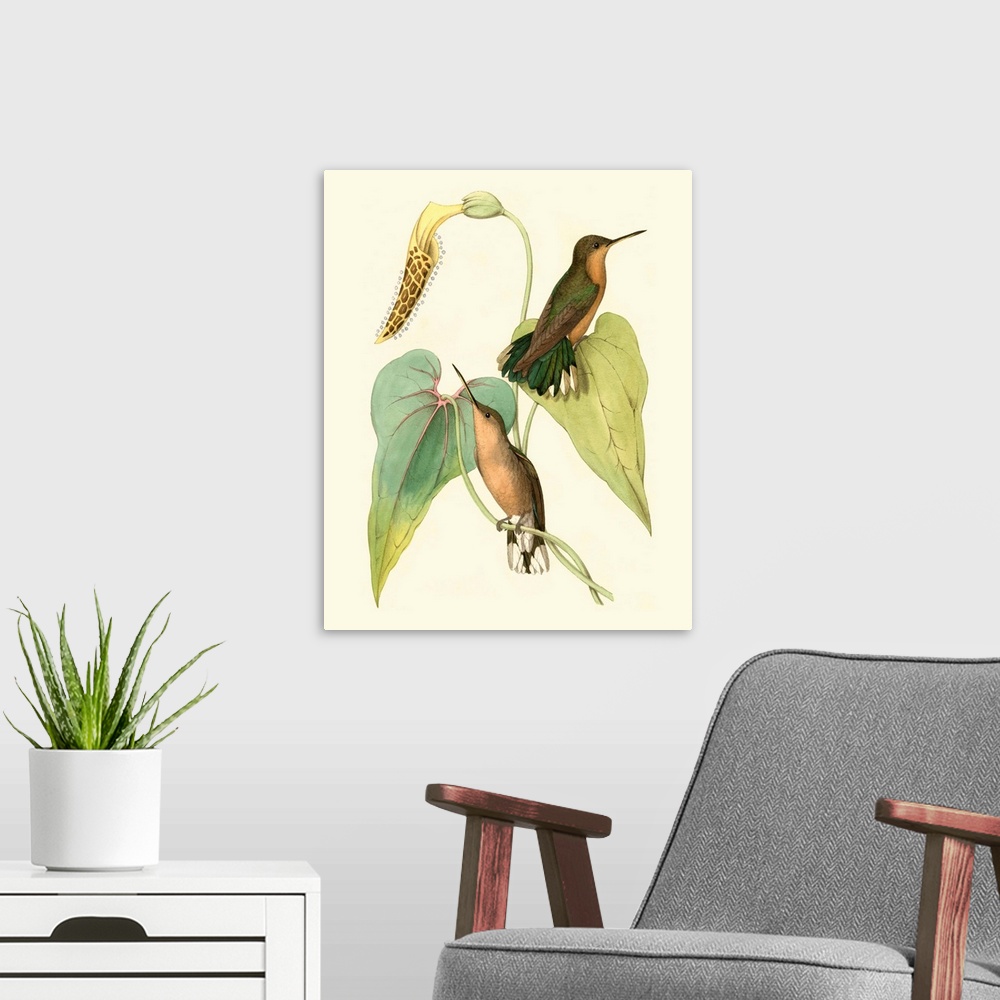 A modern room featuring Delicate Hummingbird II
