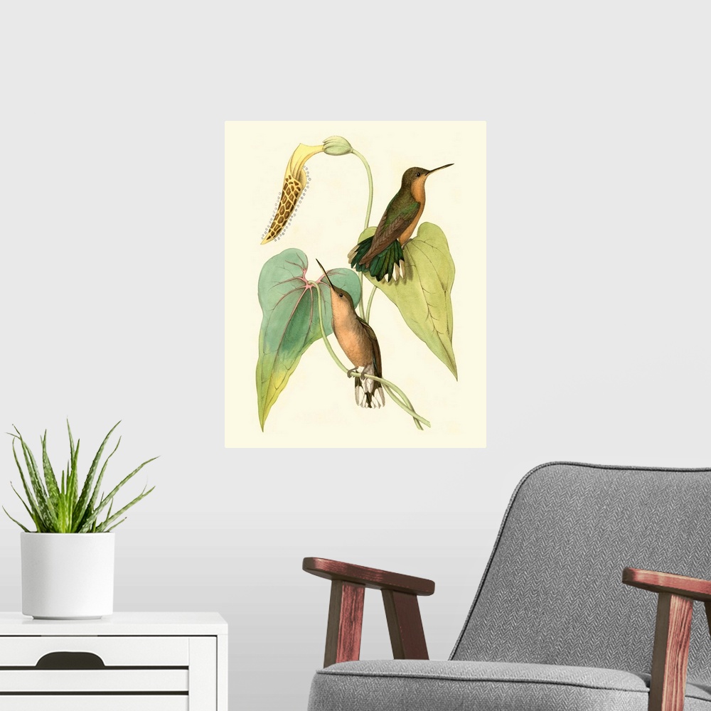 A modern room featuring Delicate Hummingbird II