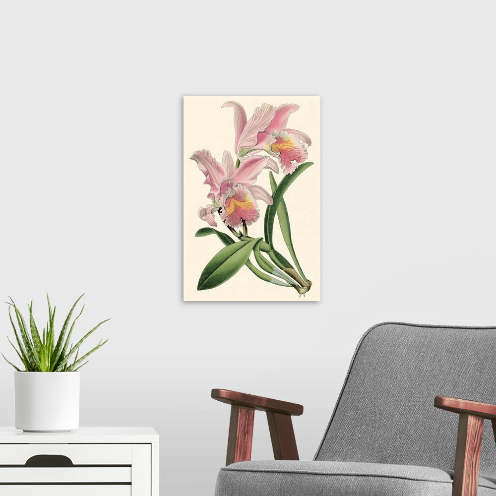 A modern room featuring Delicate Orchid III