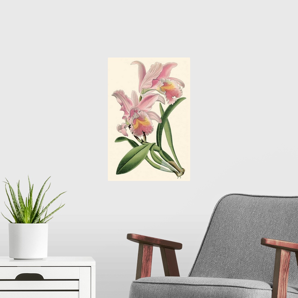 A modern room featuring Delicate Orchid III