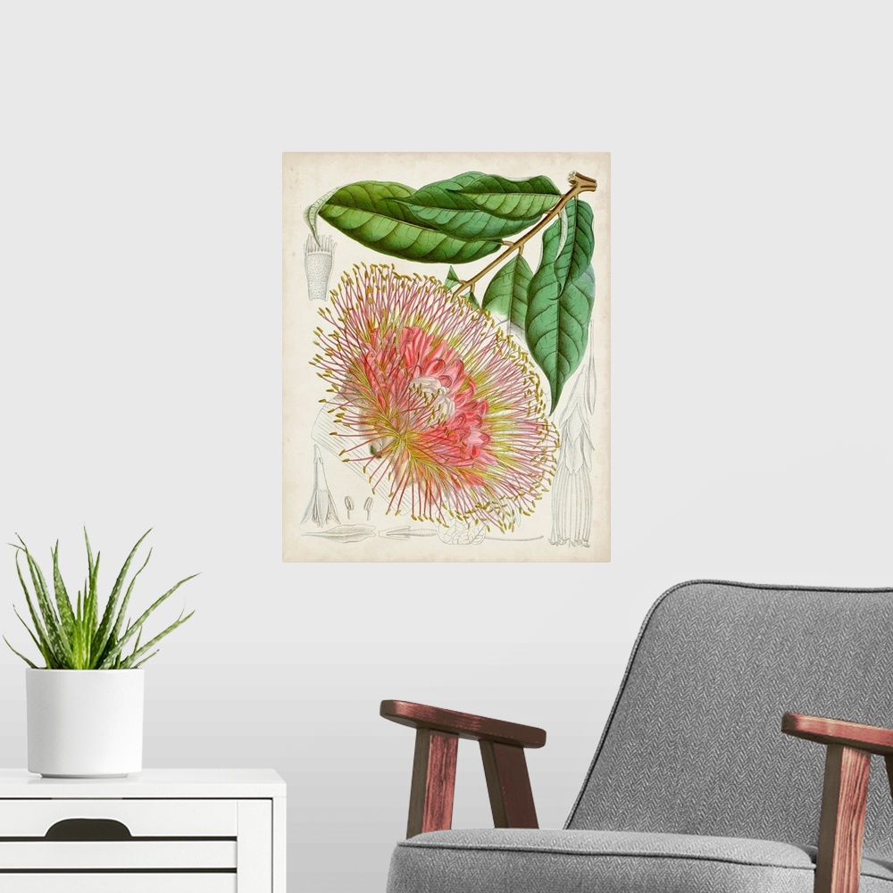 A modern room featuring Delicate Tropicals IV