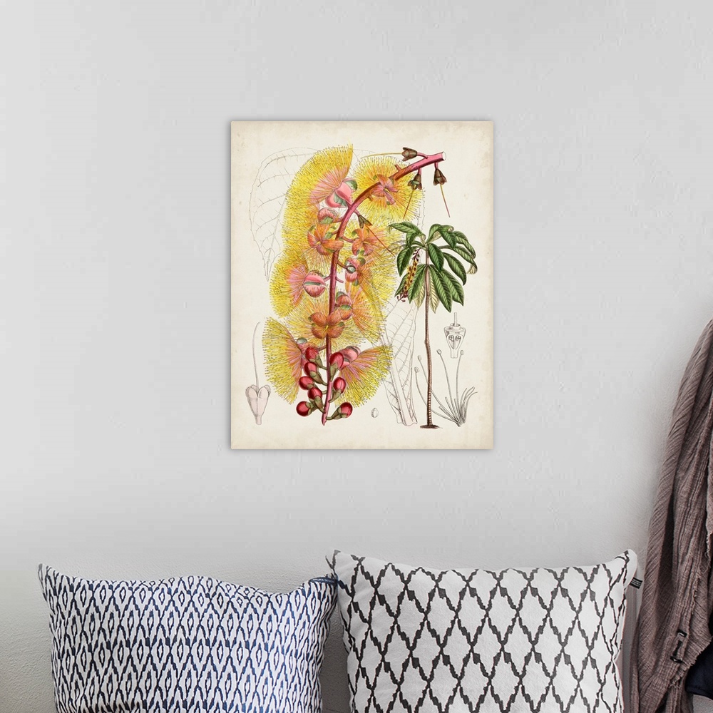 A bohemian room featuring Delicate Tropicals VII