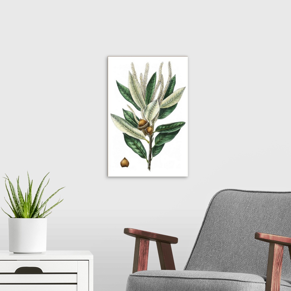 A modern room featuring Home decor artwork of oak leaves and acorns.