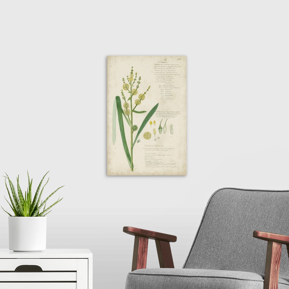 A modern room featuring Descubes Botanical Grass IV