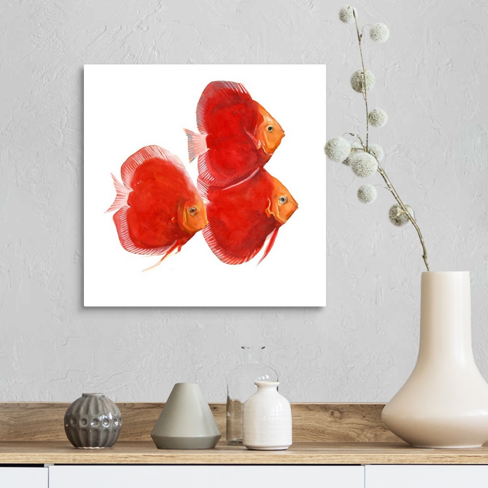 A farmhouse room featuring Watercolor portrait of three brightly painted red discus fish.