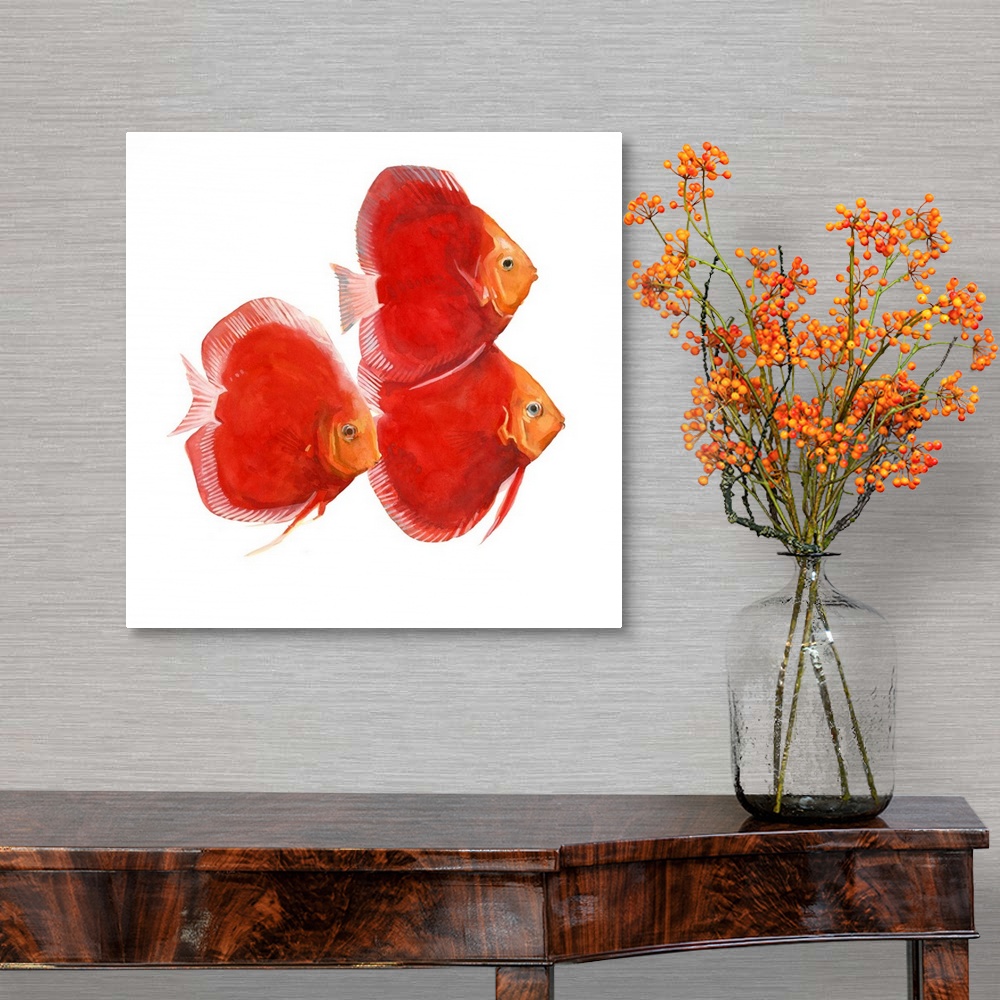A traditional room featuring Watercolor portrait of three brightly painted red discus fish.