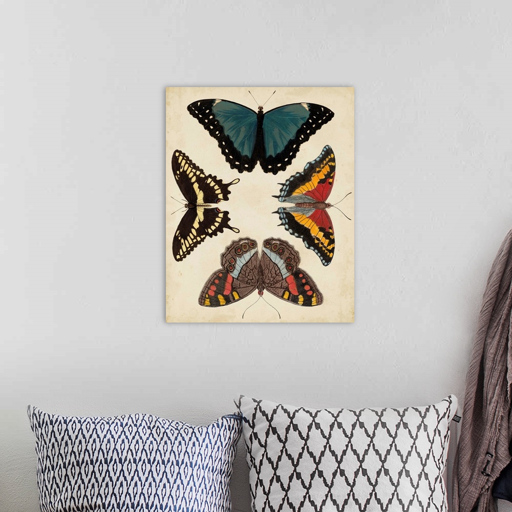 A bohemian room featuring Display of Butterflies I