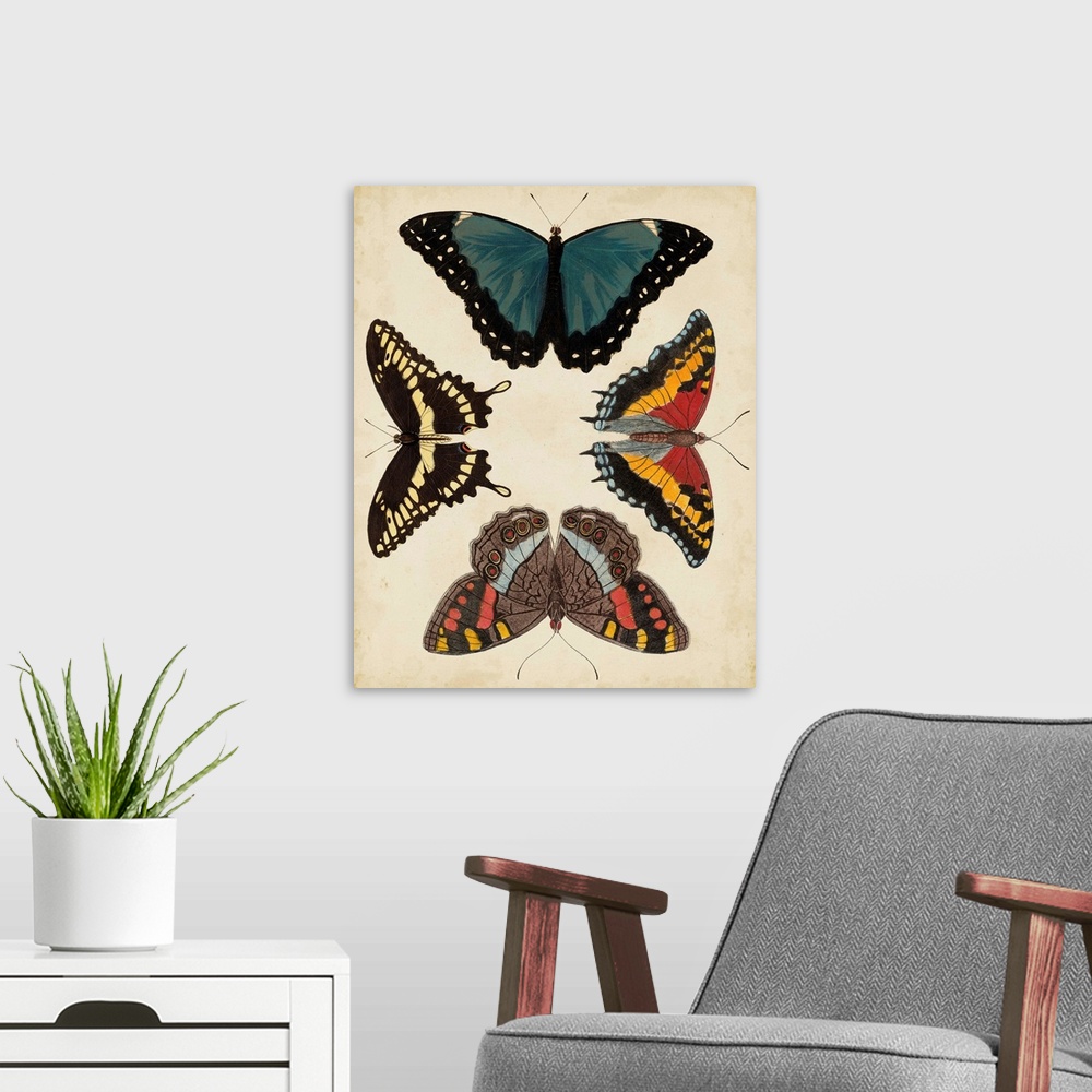 A modern room featuring Display of Butterflies I