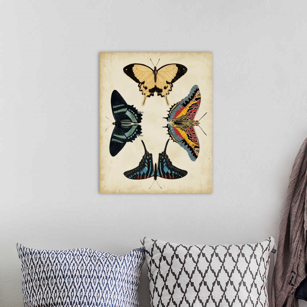 A bohemian room featuring Display of Butterflies III