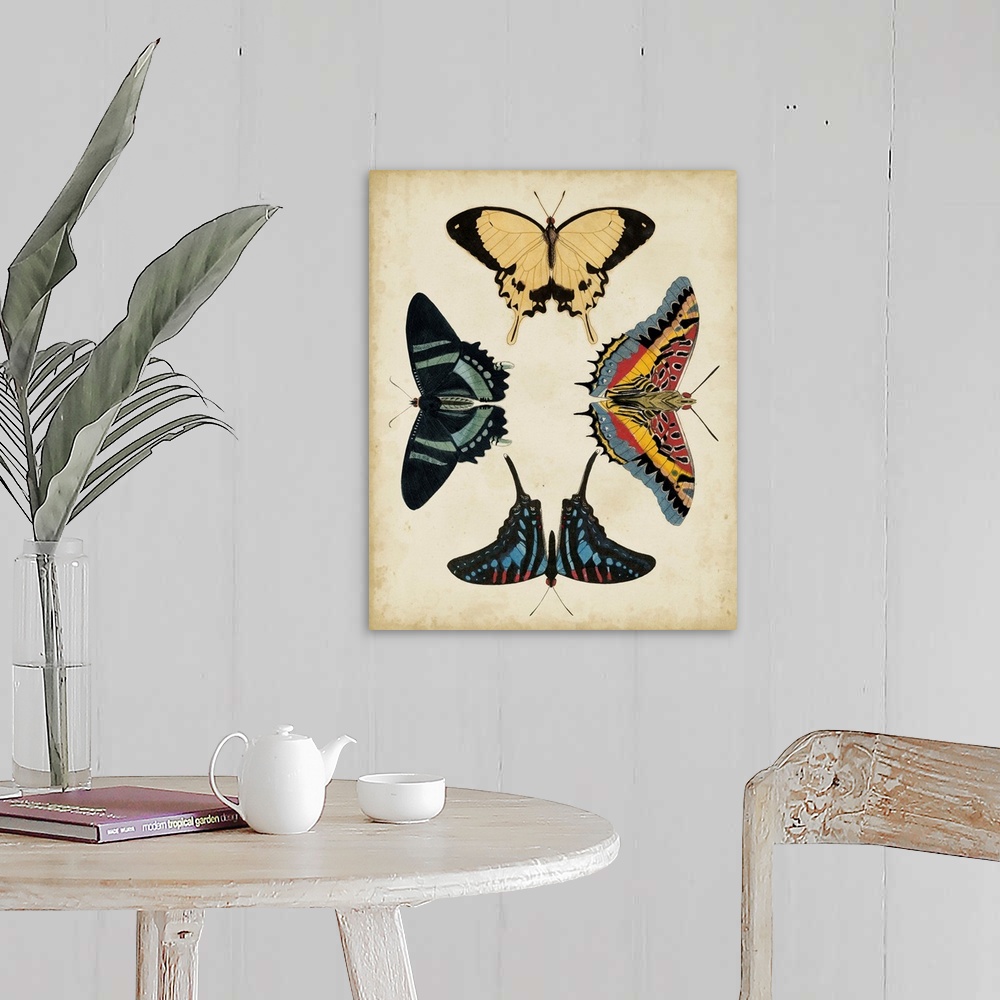 A farmhouse room featuring Display of Butterflies III