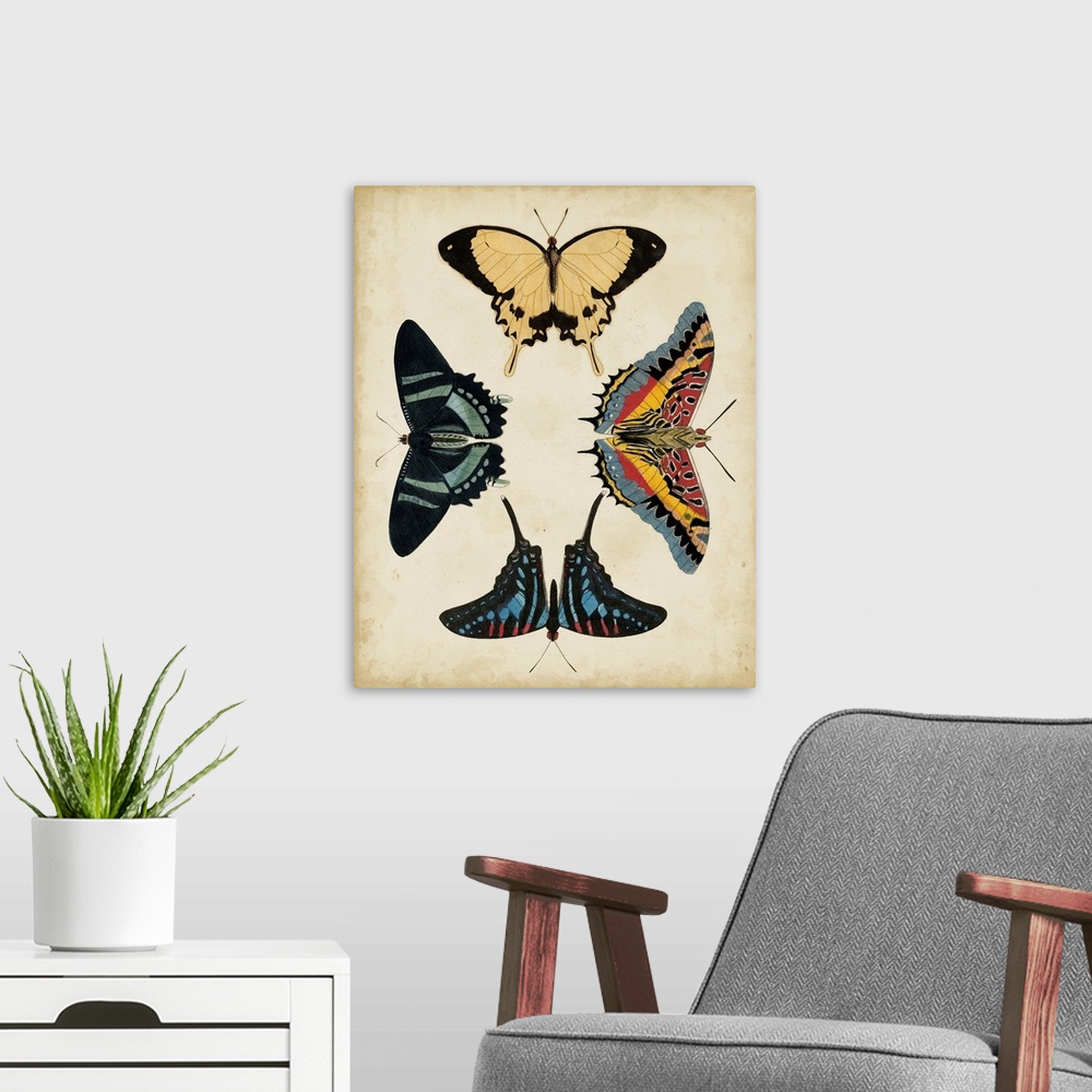 A modern room featuring Display of Butterflies III