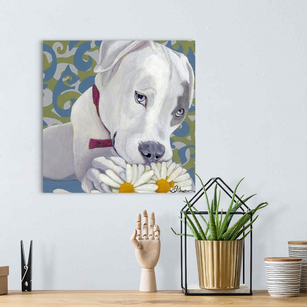 A bohemian room featuring Dlynn's Dogs - Patch