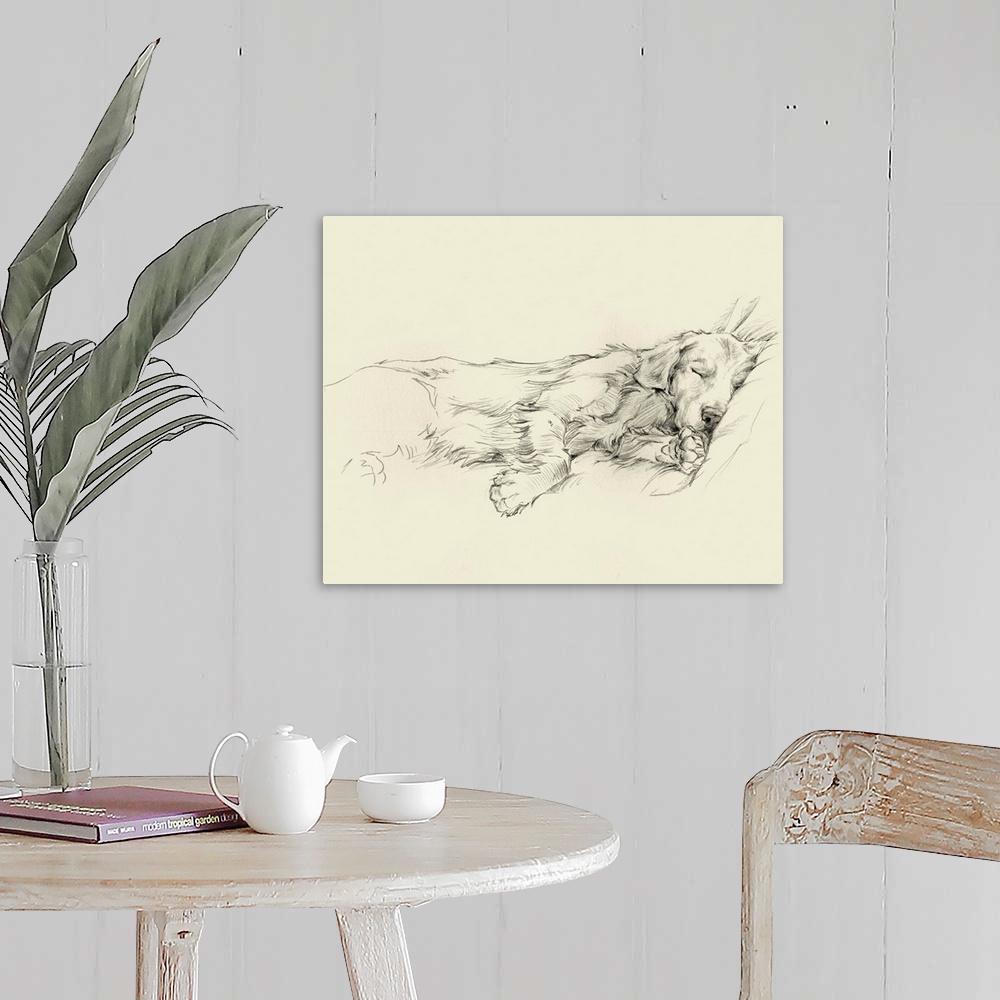 A farmhouse room featuring Pencil drawing of a dog sleeping deeply on a couch.