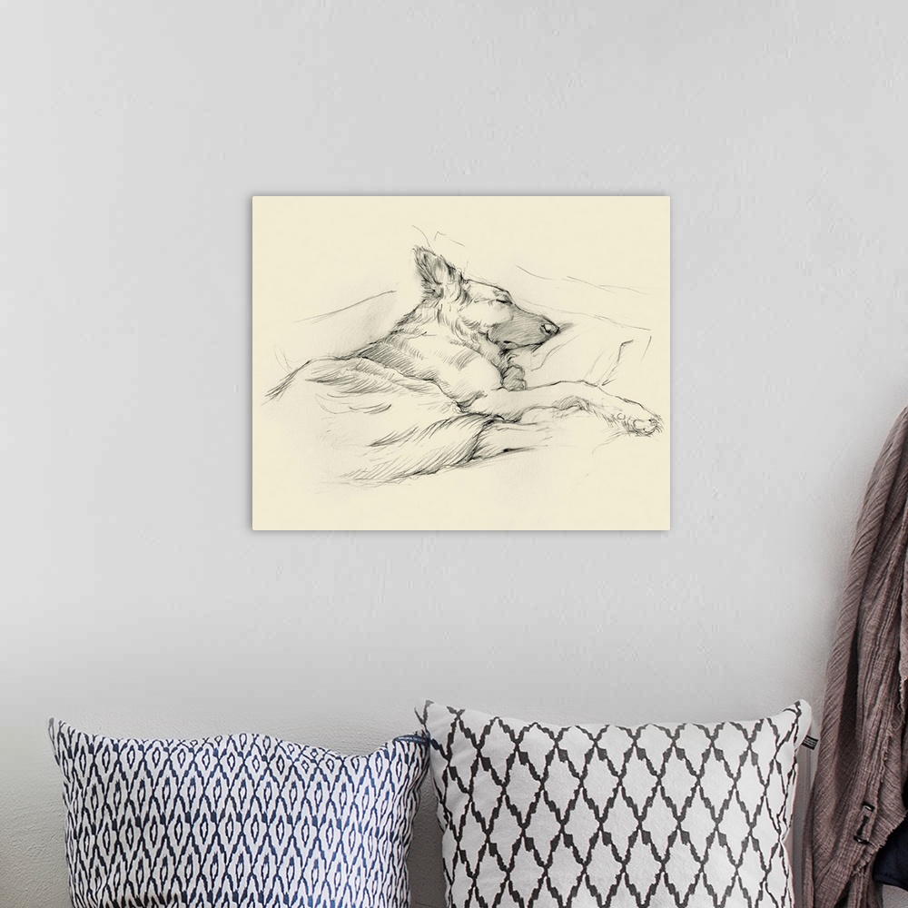 A bohemian room featuring Pencil drawing of a dog sleeping deeply on a couch.
