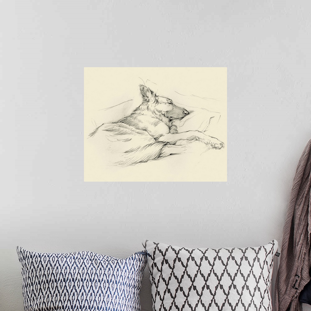 A bohemian room featuring Pencil drawing of a dog sleeping deeply on a couch.