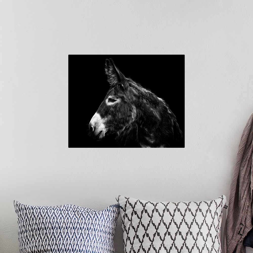 A bohemian room featuring Donkey Portrait I