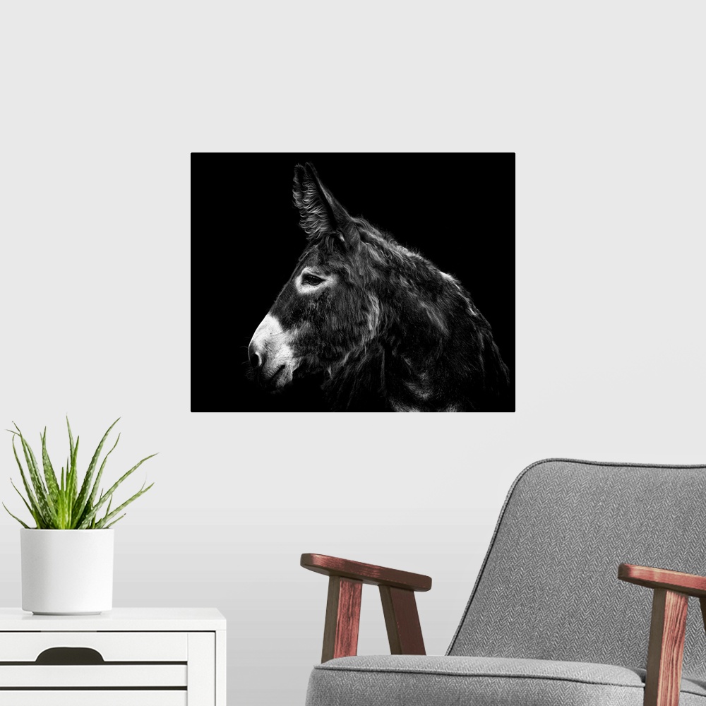 A modern room featuring Donkey Portrait I