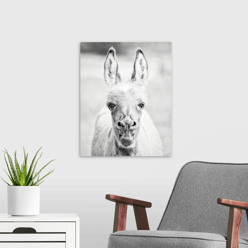 A modern room featuring Donkey Portrait IV