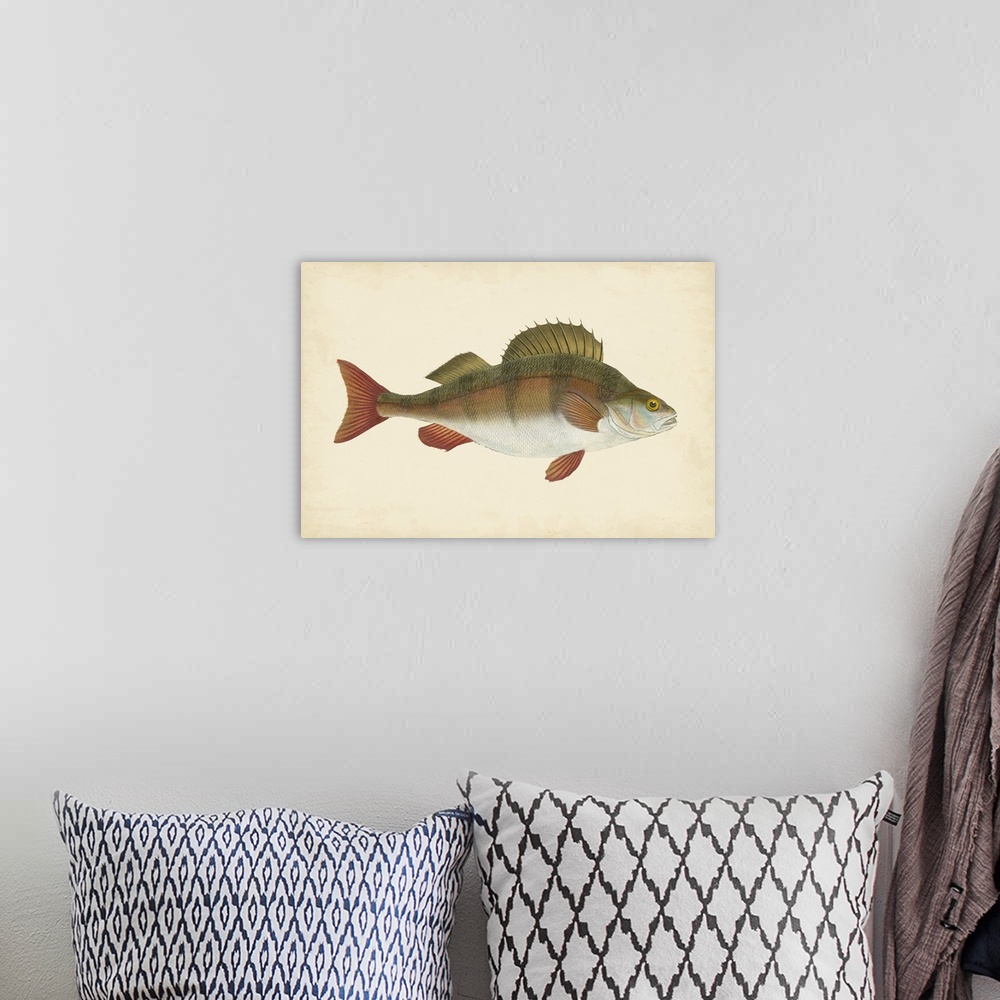A bohemian room featuring Vintage stylized illustration of a fish against a parchment background.