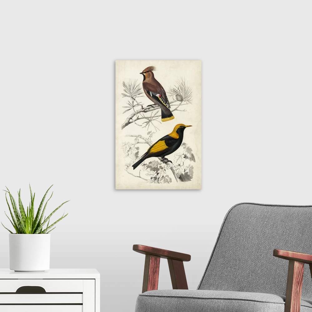 A modern room featuring D'Orbigny Birds V