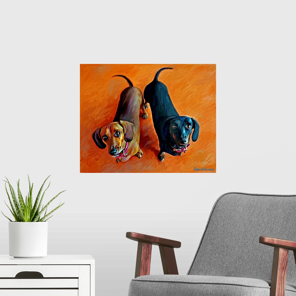 A modern room featuring Double Dachsies