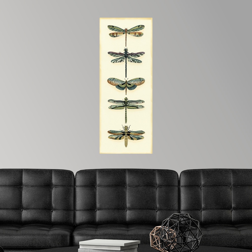 A modern room featuring Dragonfly Collector II