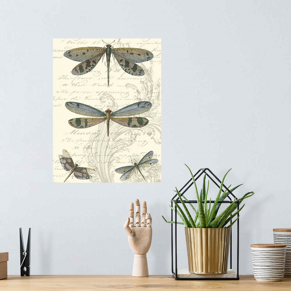 A bohemian room featuring Dragonfly Delight I