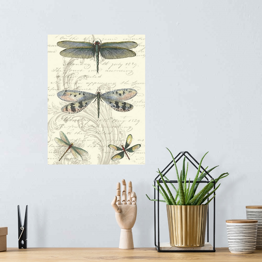A bohemian room featuring Dragonfly Delight II