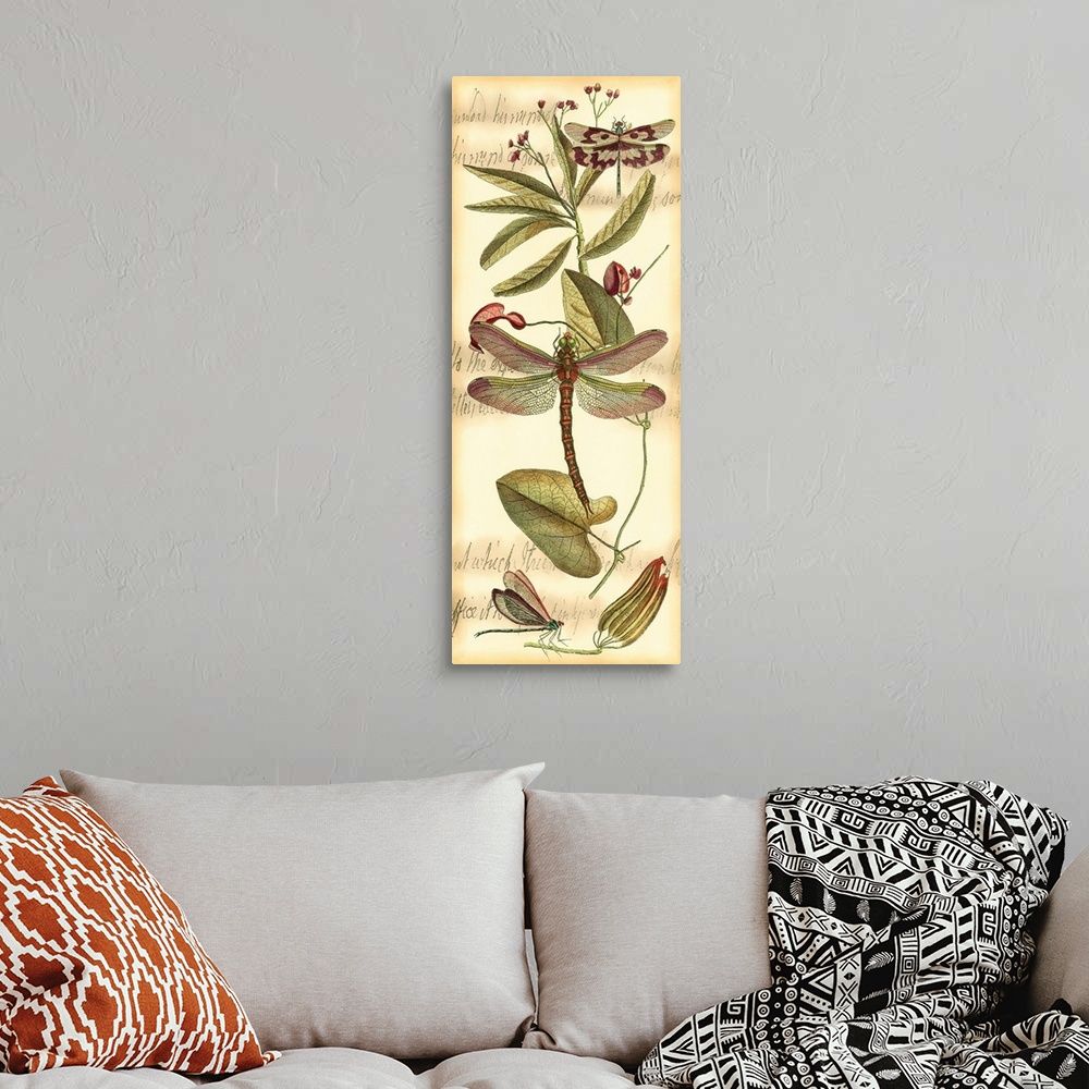 A bohemian room featuring Contemporary artwork of a vintage style dragonfly illustration.
