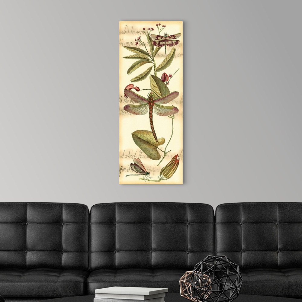 A modern room featuring Contemporary artwork of a vintage style dragonfly illustration.