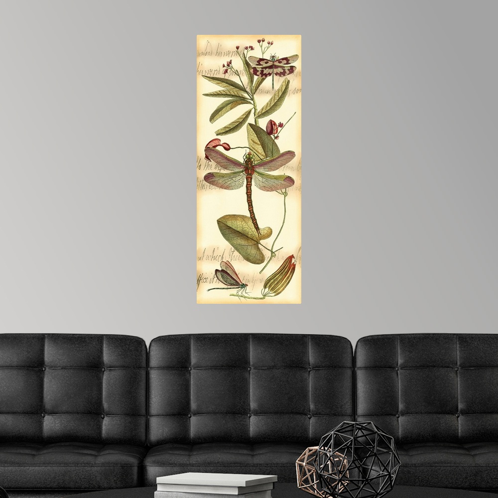 A modern room featuring Contemporary artwork of a vintage style dragonfly illustration.