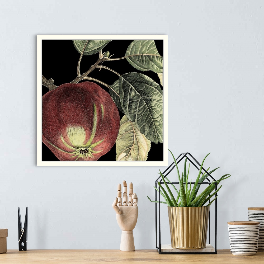 A bohemian room featuring Dramatic Apple