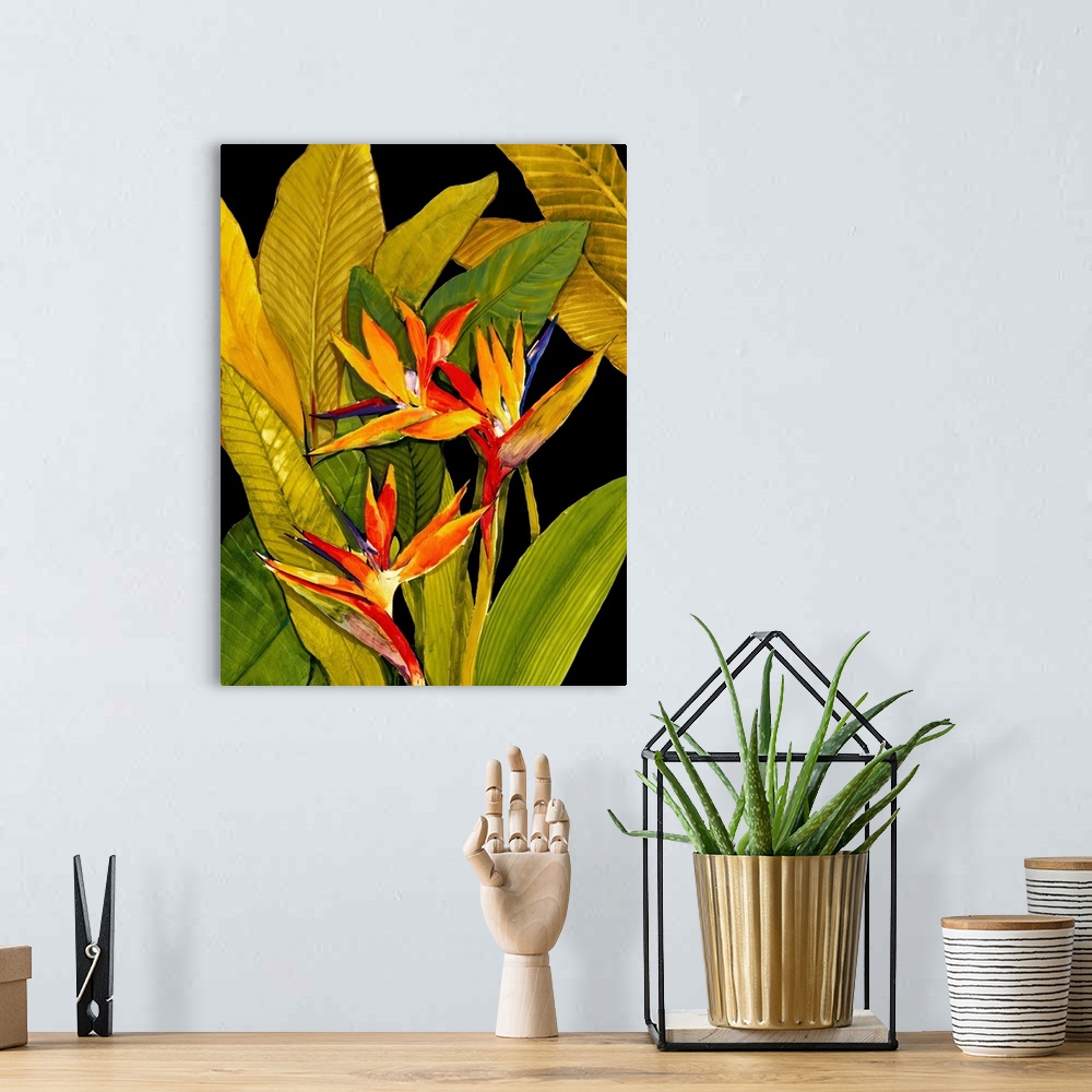 A bohemian room featuring Dramatic Bird of Paradise