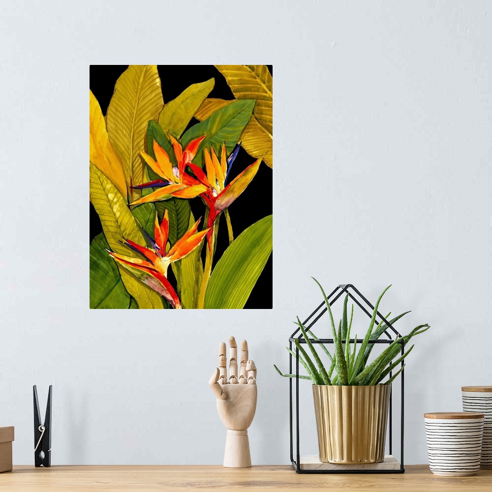 A bohemian room featuring Dramatic Bird of Paradise