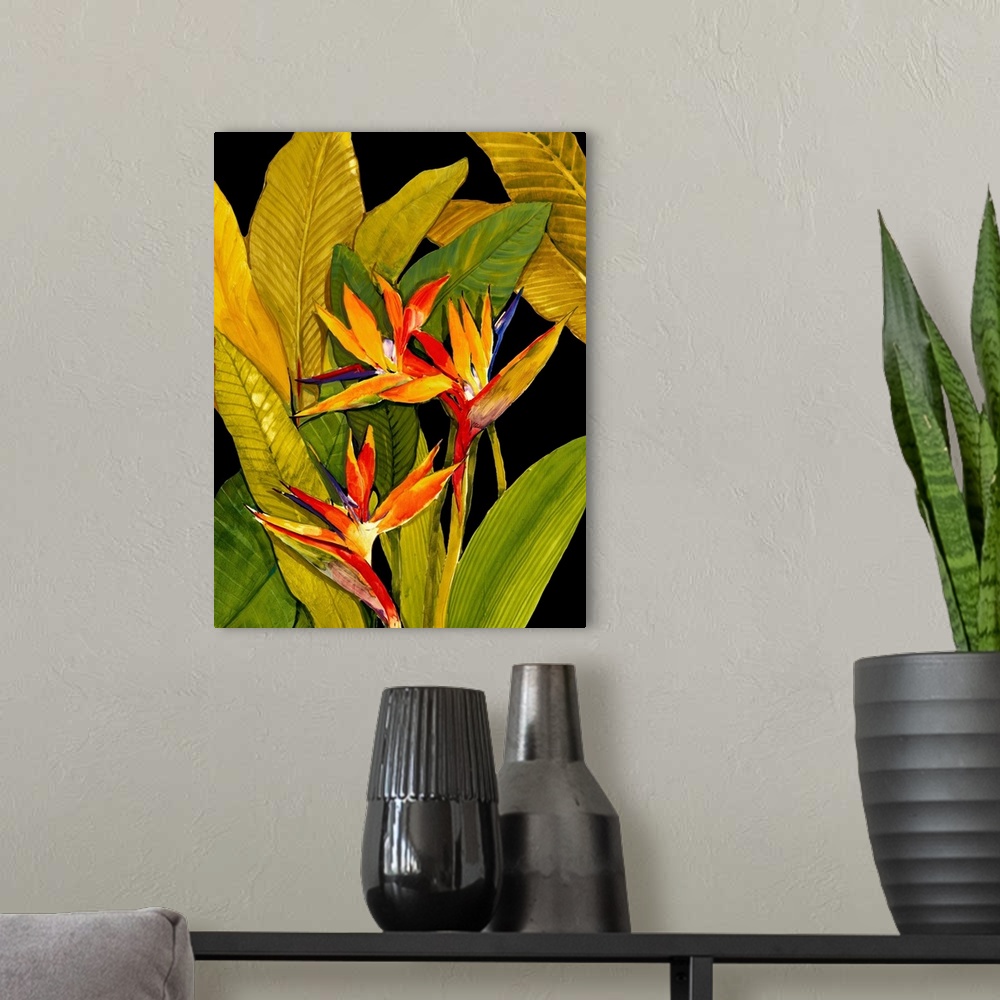 A modern room featuring Dramatic Bird of Paradise