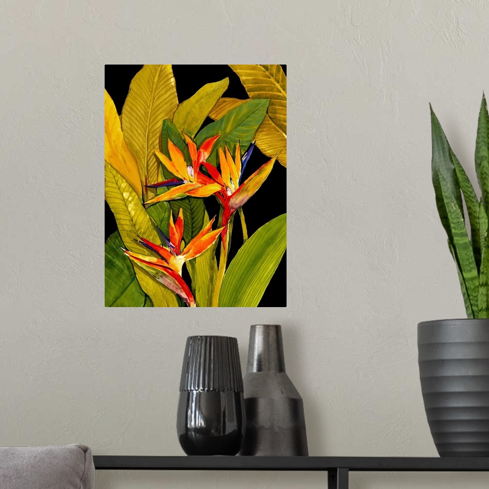 A modern room featuring Dramatic Bird of Paradise