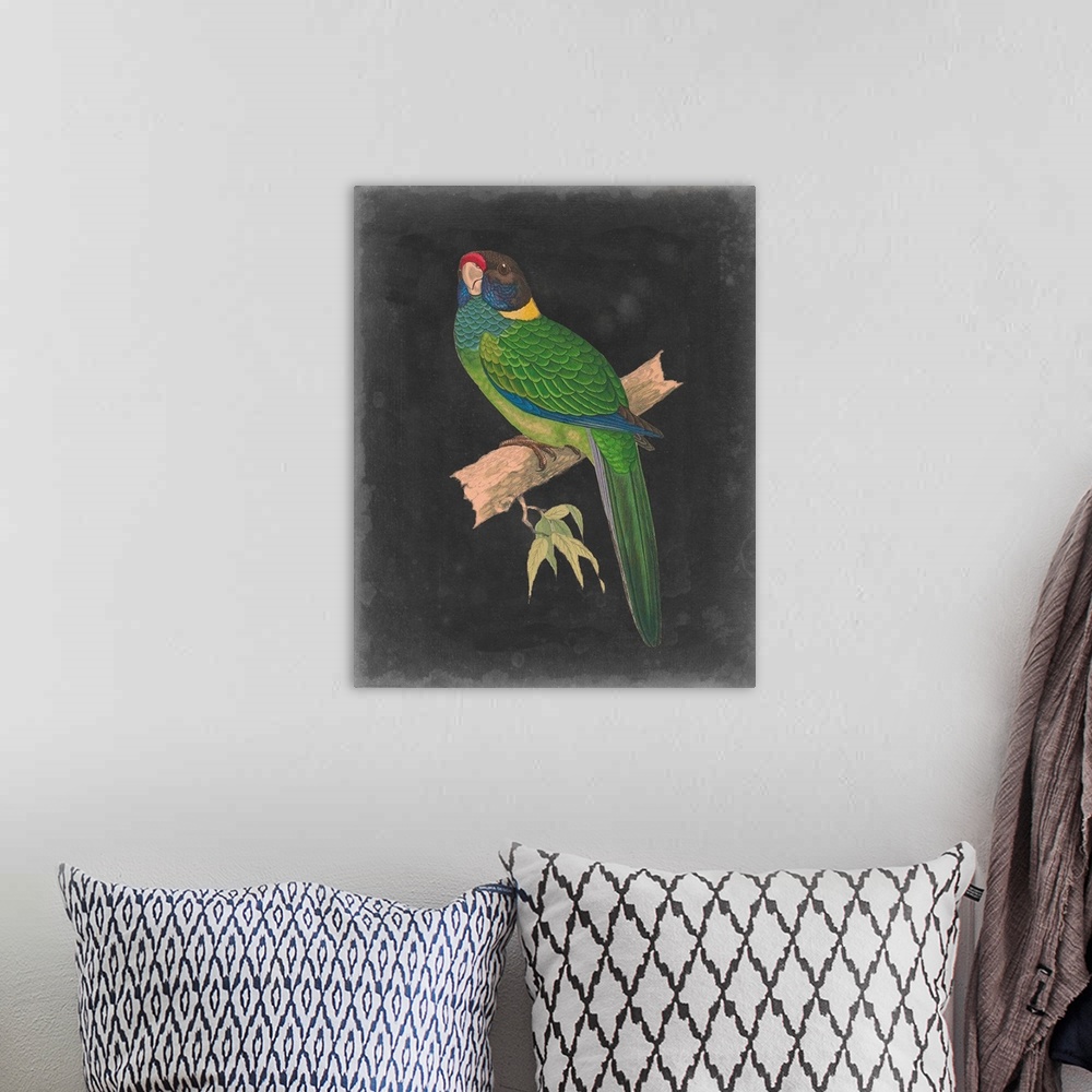 A bohemian room featuring Dramatic Parrots II