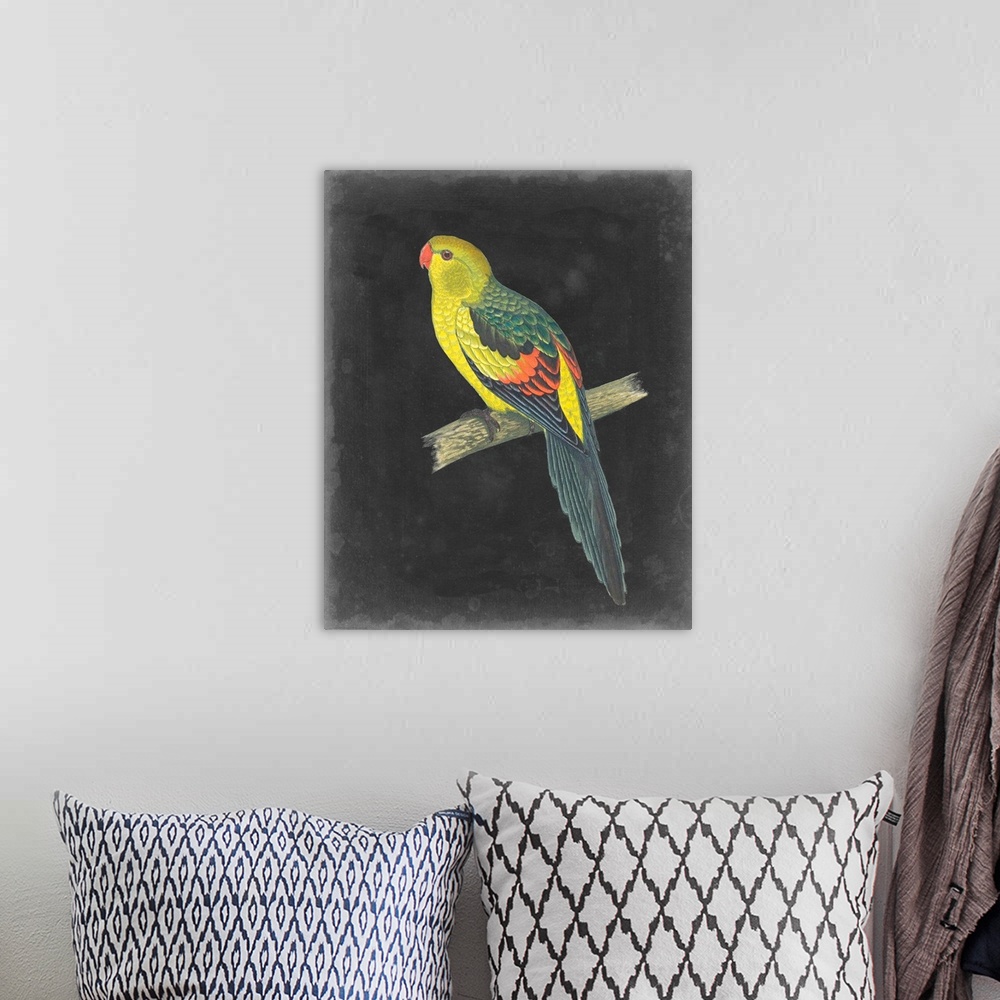 A bohemian room featuring Dramatic Parrots VI