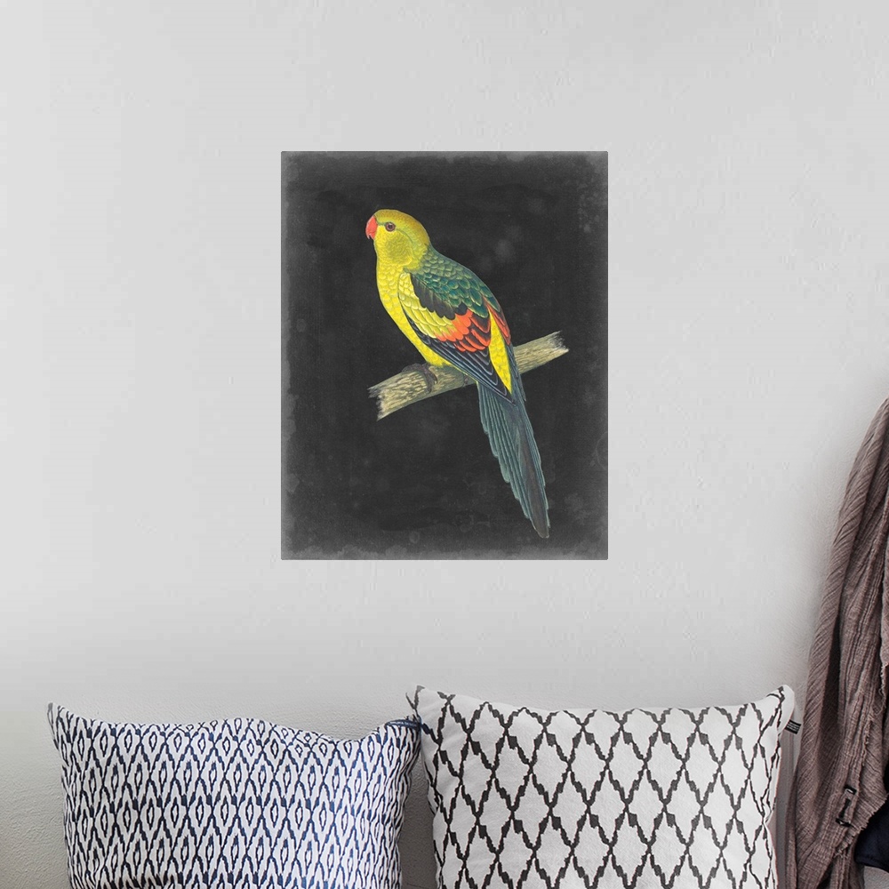 A bohemian room featuring Dramatic Parrots VI