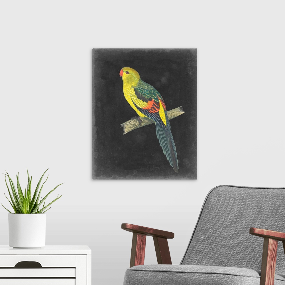 A modern room featuring Dramatic Parrots VI
