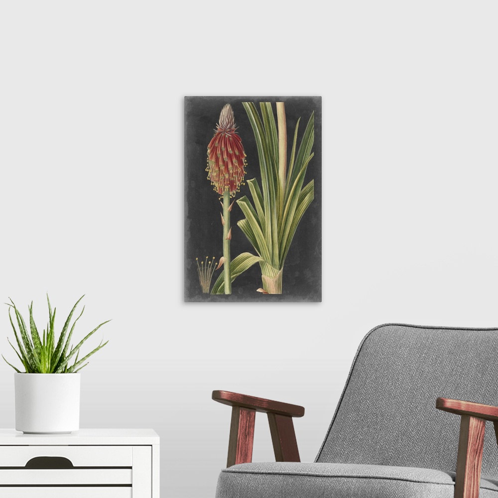 A modern room featuring Dramatic Tropicals IV