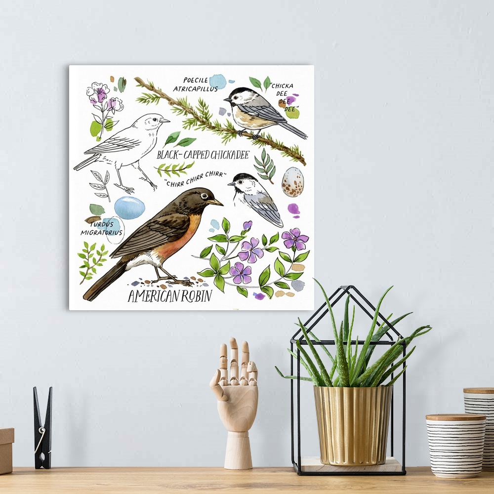 A bohemian room featuring Drawn To Birds VI