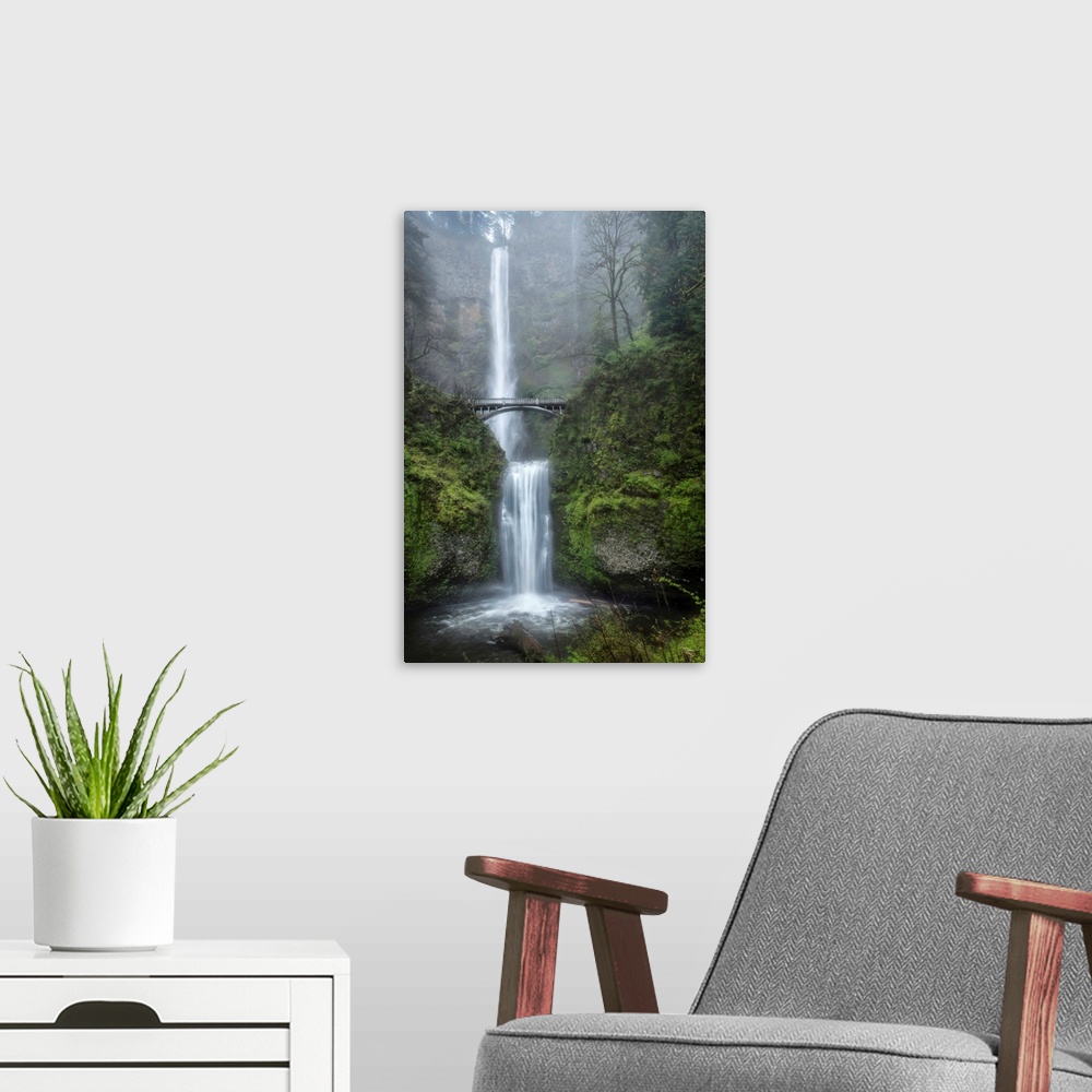 A modern room featuring Photograph of a serene waterfall among vibrant greenery vegetation in the mist.