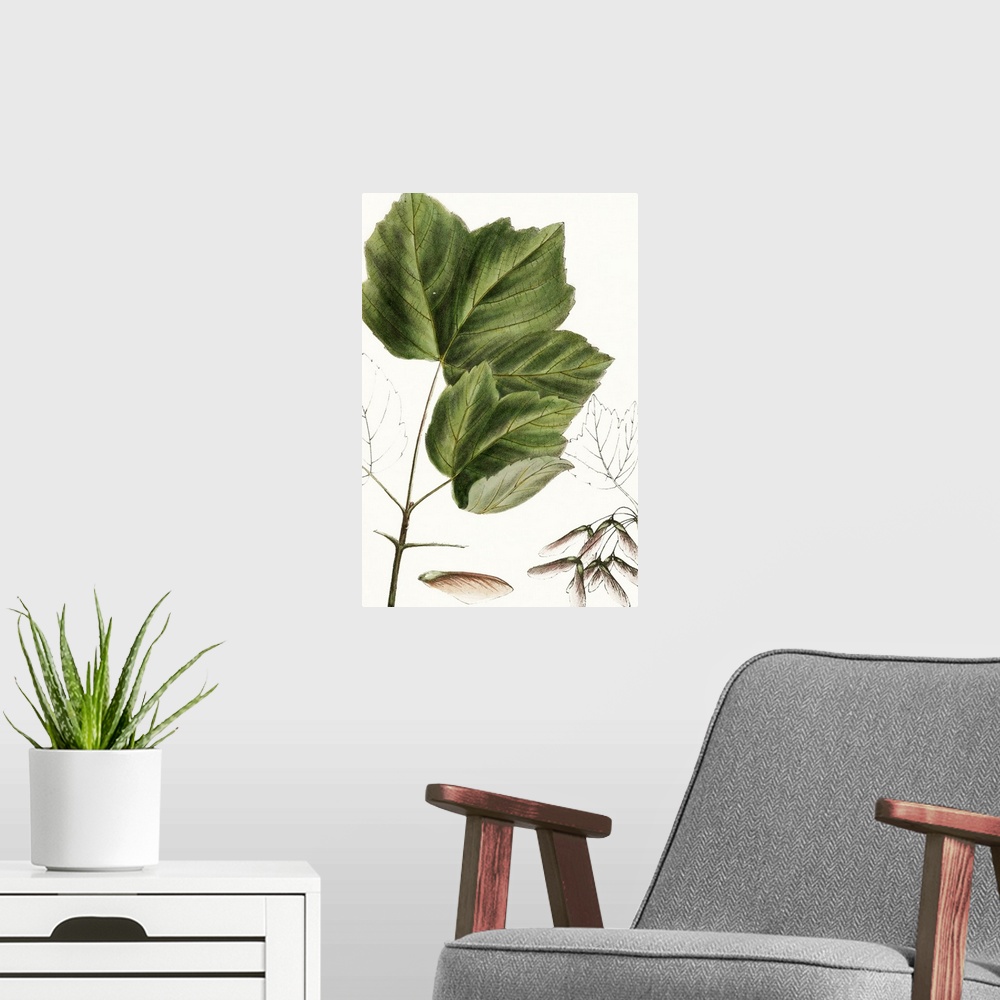 A modern room featuring This contemporary artwork features an illustration of a close up of a botanical plant partially c...