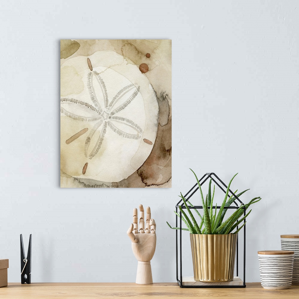 A bohemian room featuring Dry Sand Dollar I