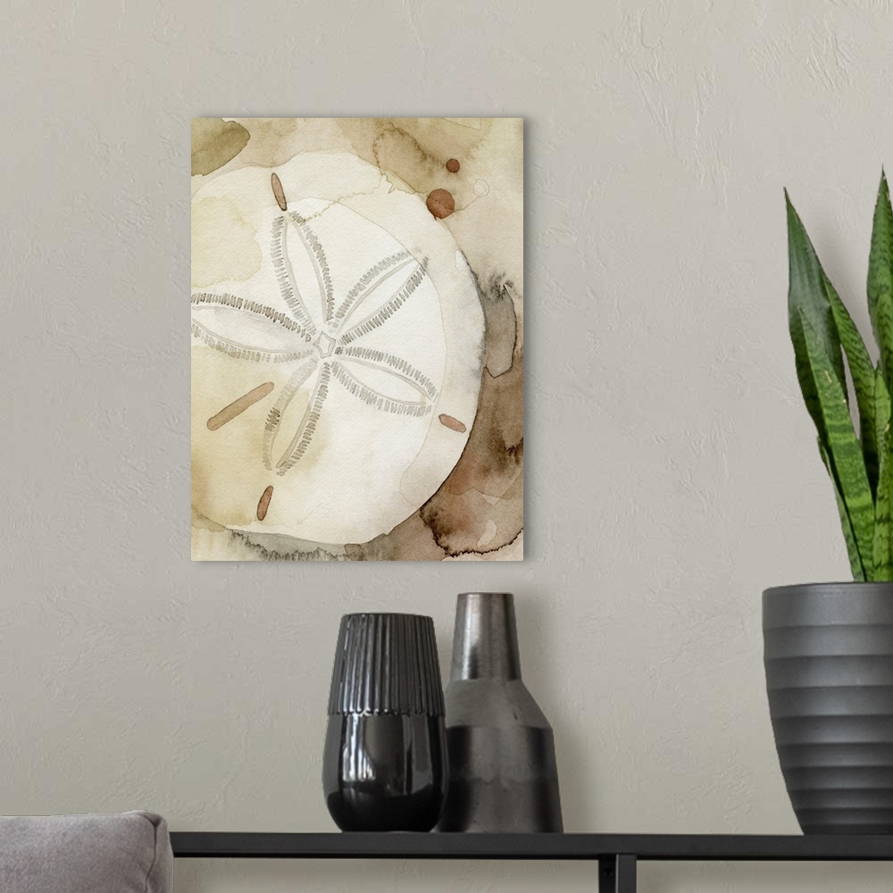 A modern room featuring Dry Sand Dollar I