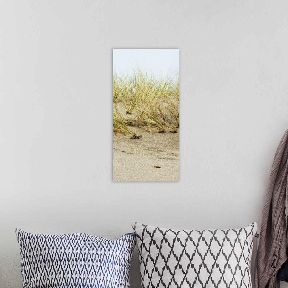 A bohemian room featuring A photograph of a sand dune with tall golden yellow and green beach grass.